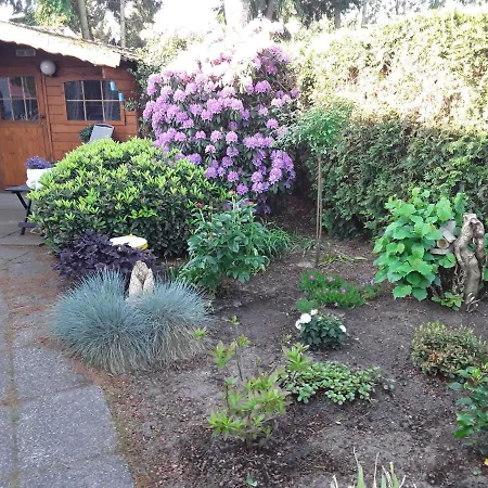 Lente !! Nu Vrij!! Comfortabel Vrijstaand Chalet Voor 2 Personen Bij Uitgestrekte Bossen Apartment *