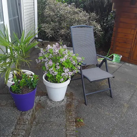 Apartment Lente !! Nu Vrij!! Comfortabel Vrijstaand Chalet Voor 2 Personen Bij Uitgestrekte Bossen Putten