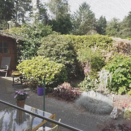 Lente !! Nu Vrij!! Comfortabel Vrijstaand Chalet Voor 2 Personen Bij Uitgestrekte Bossen * Putten