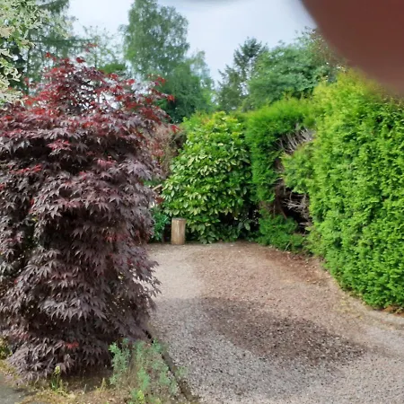 Lente !! Nu Vrij!! Comfortabel Vrijstaand Chalet Voor 2 Personen Bij Uitgestrekte Bossen Apartment Putten