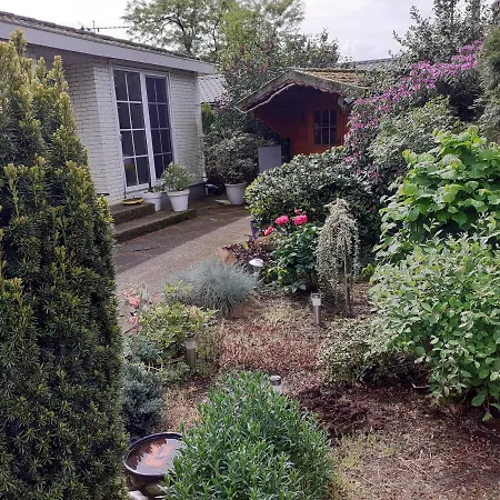 Lente !! Nu Vrij!! Comfortabel Vrijstaand Chalet Voor 2 Personen Bij Uitgestrekte Bossen