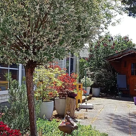 Apartment Lente !! Nu Vrij!! Comfortabel Vrijstaand Chalet Voor 2 Personen Bij Uitgestrekte Bossen Putten